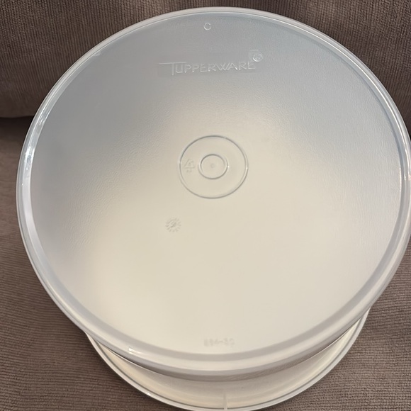 Beekman 1802 Tupperware Plastic Container with Lid - Picture 3 of 6